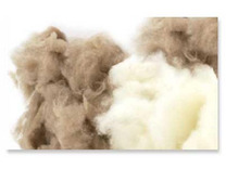 Одеяло Cashmere Wool GD кашемировая и овечья шерсть 195*215 / Johann Hefel