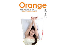 Подушка Orang Memory Box Мb-5421 70*70 / Espera