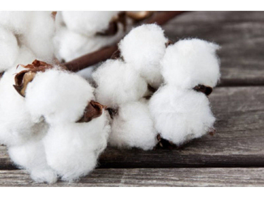 Одеяло Summerlinen SD льняное 200*200 / Johann Hefel