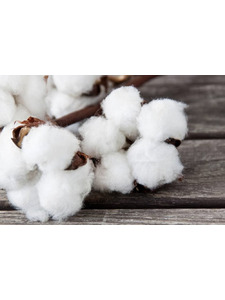 Одеяло Summerlinen SD льняное 200*200 / Johann Hefel