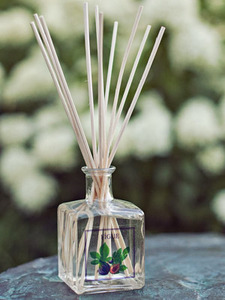 Инжир, Диффузор с палочками, 50 мл / Le Blanc