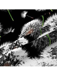 Постельное белье 3412 (22) Белые одуваньчики бязь 2 сп / Василиса Постельное белье 3412 (22) Белые одуваньчики бязь 2 сп / Василиса