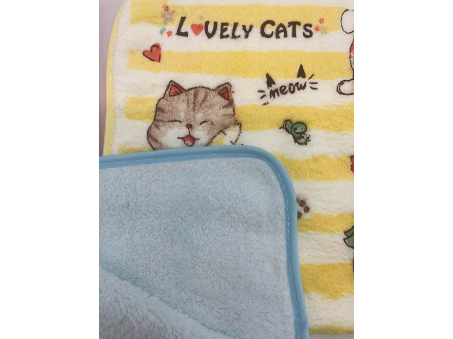 Полотенце 1802407 Забавные котики микрофибра 25*50 / 7-я Полотенце 1802407 Забавные котики микрофибра 25*50 / 7-я