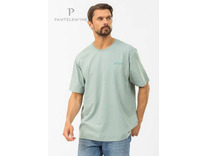 Футболка мужская MFB-1038 / Pantelemone