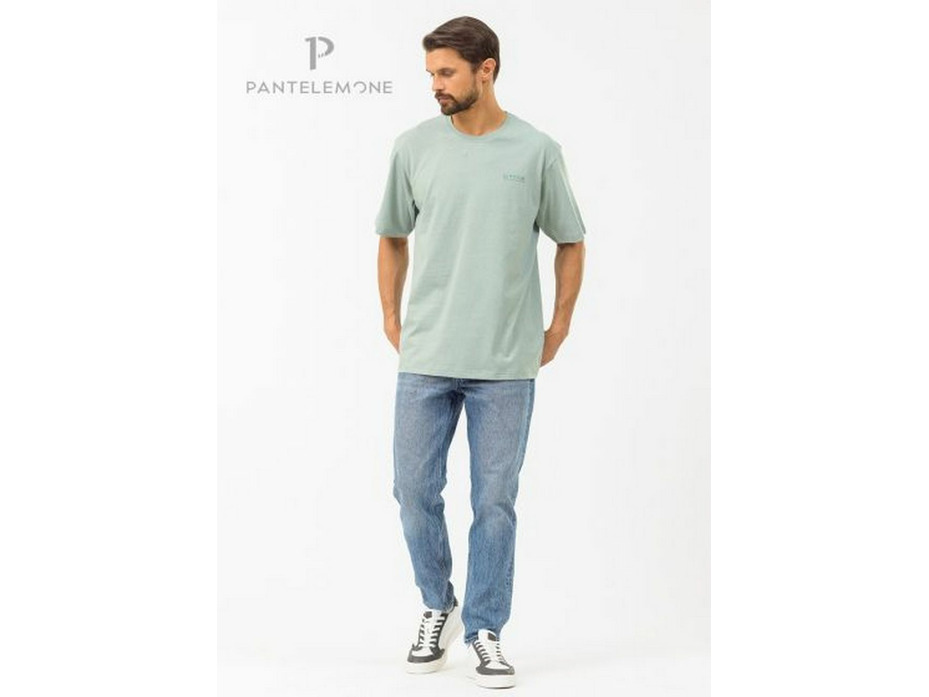 Футболка мужская MFB-1038 / Pantelemone