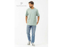 Футболка мужская MFB-1038 / Pantelemone