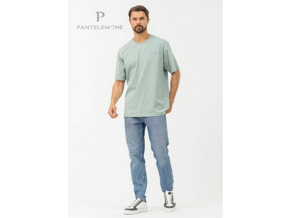 Футболка мужская MFB-1038 / Pantelemone