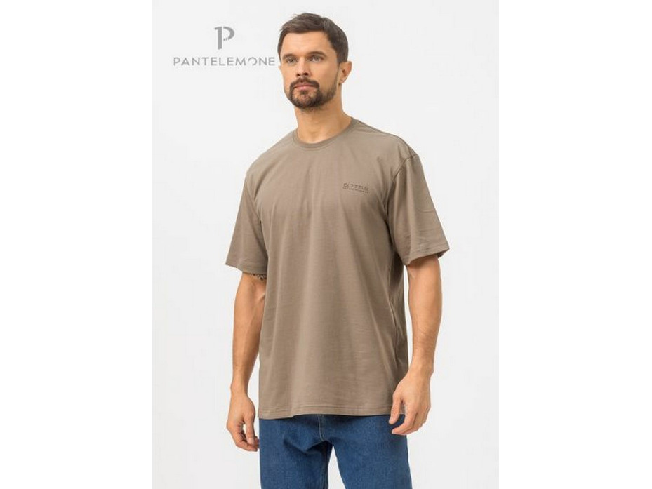 Футболка мужская MFB-1038 / Pantelemone