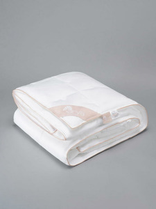 Одеяло Dream Soft синтетическое волокно 195*215 / Arya