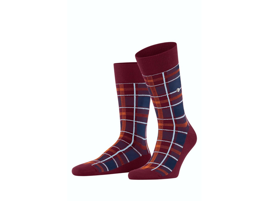 Носки мужские 24718 (8010) Heritage check SO / Burlington