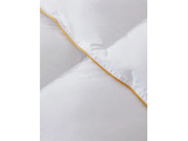 Одеяло Ecosoft comfort синтетическое волокно 155*215 / Arya Одеяло Ecosoft comfort синтетическое волокно 155*215 / Arya