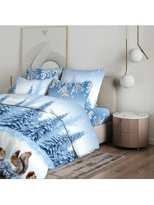 Постельное белье 4112 (20) Белочки бязь Евро сп / Василиса