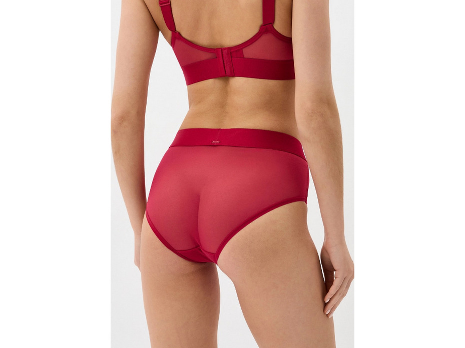Трусы женские 8195 Sheers I612J Persianred / DKNY