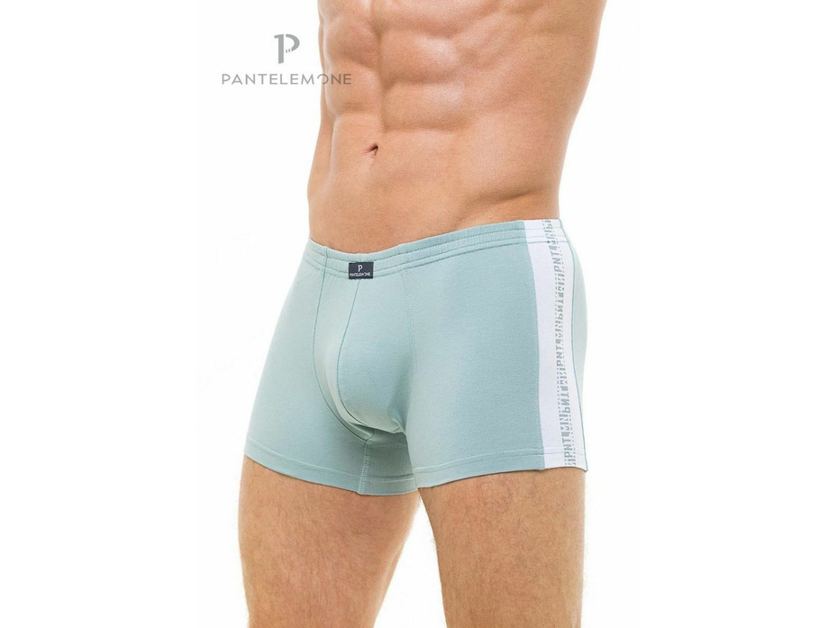 Трусы мужские PMH-1187 / Pantelemone