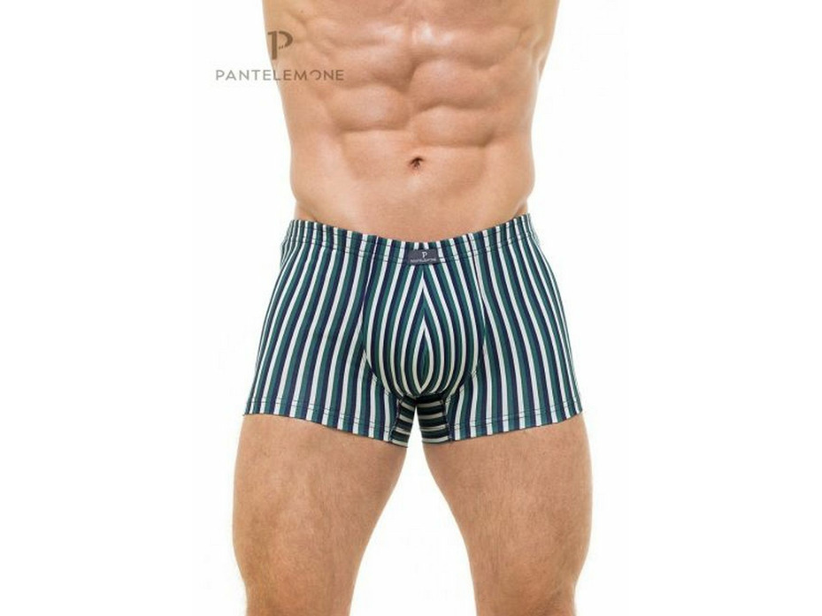 Трусы мужские PMH-1157 / Pantelemone