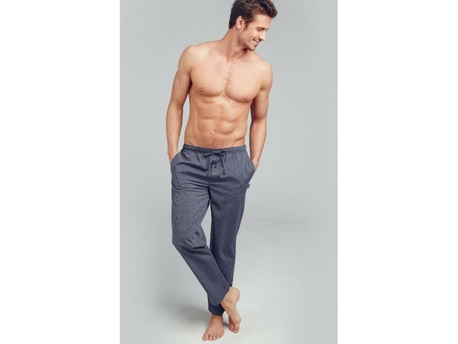 Брюки мужские 500752H / Jockey