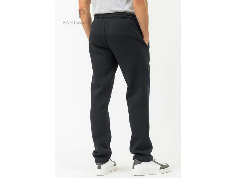 Брюки мужские PDB-231 / Pantelemone