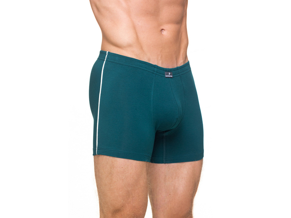 Трусы мужские PMHL-1136 / Pantelemone