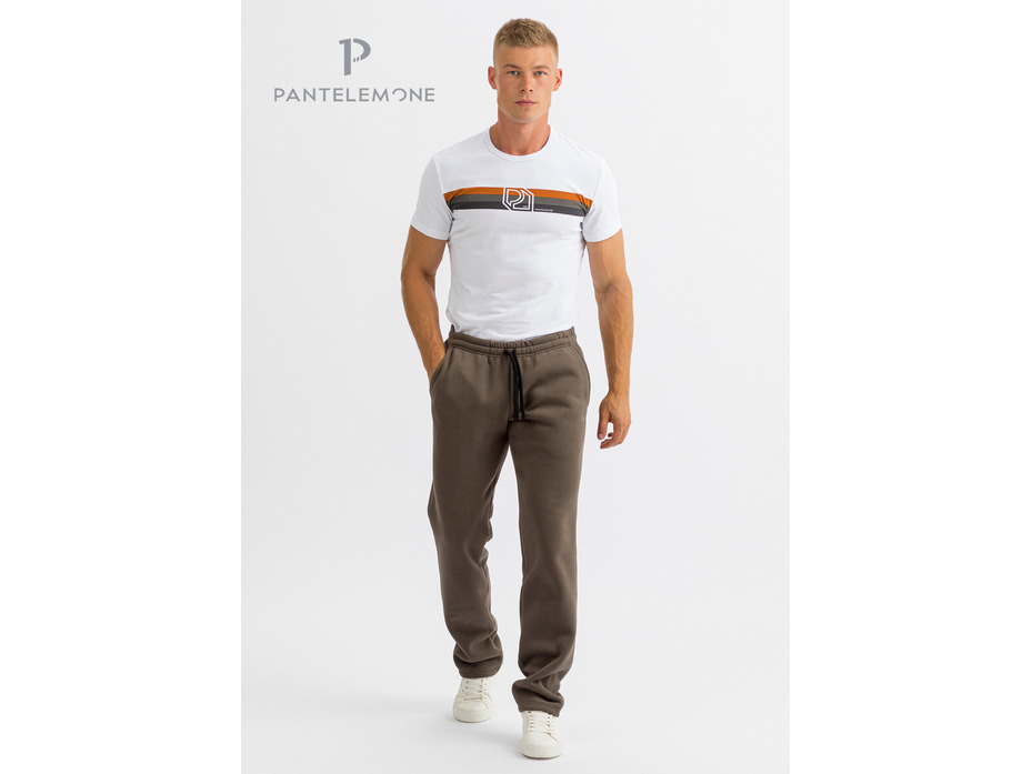 Брюки мужские PDB-208 / Pantelemone