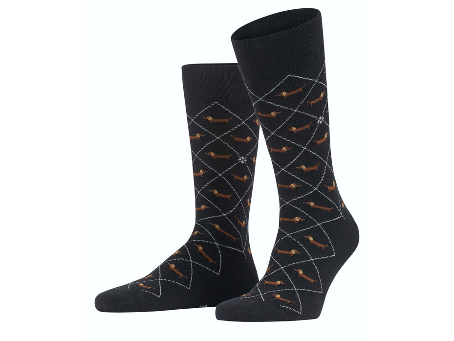 Носки мужские 21200 Duchshund SO / Burlington