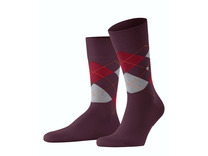 Носки мужские 21090 King SO / Burlington