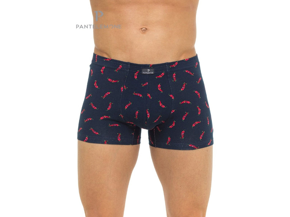 Трусы мужские PMHB-1079 / Pantelemone