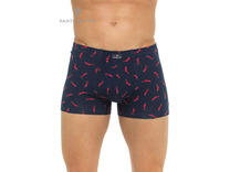 Трусы мужские PMHB-1079 / Pantelemone