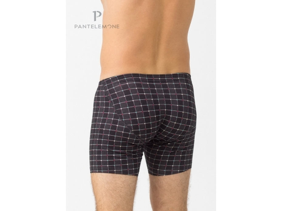 Трусы мужские PMHL-1337 / Pantelemone