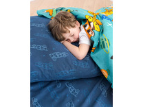 Постельное белье 10262 (17) Лекс и Триша бязь 1,5 сп / Василиса