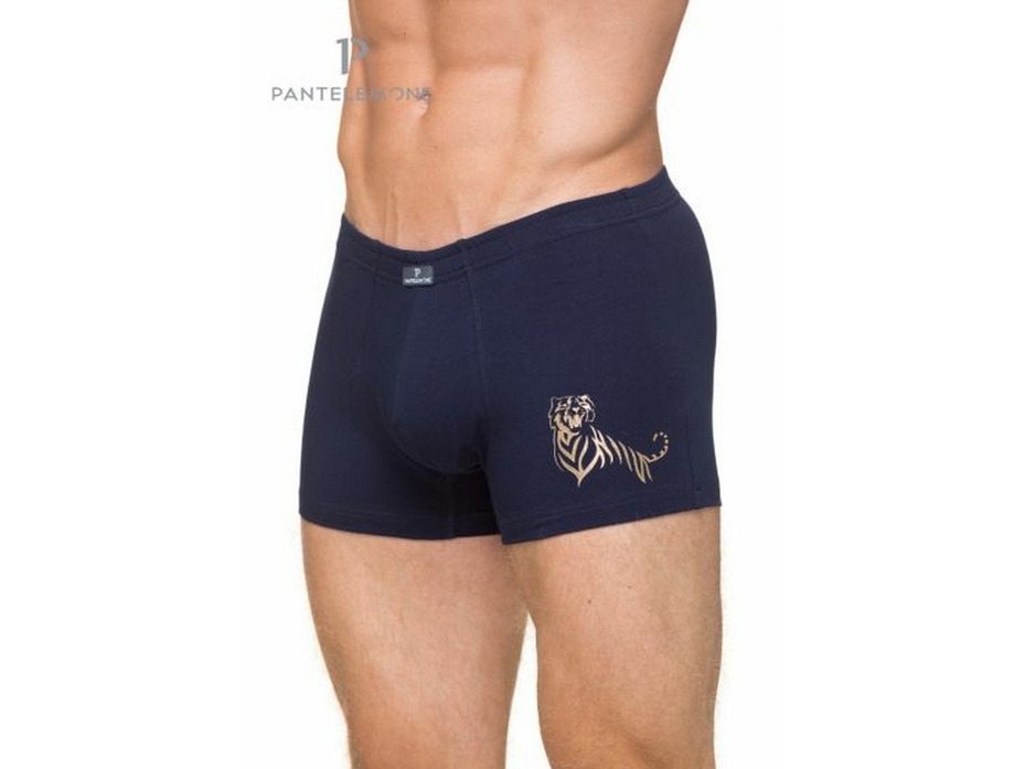 Трусы мужские PMH-1140 / Pantelemone