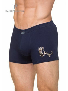 Трусы мужские PMH-1140 / Pantelemone