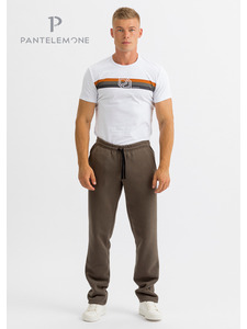 Брюки мужские PDB-208 / Pantelemone