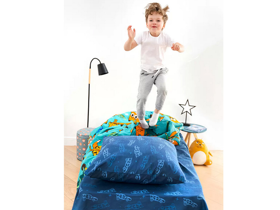 Постельное белье 10262 (17) Лекс и Триша бязь 1,5 сп / Василиса