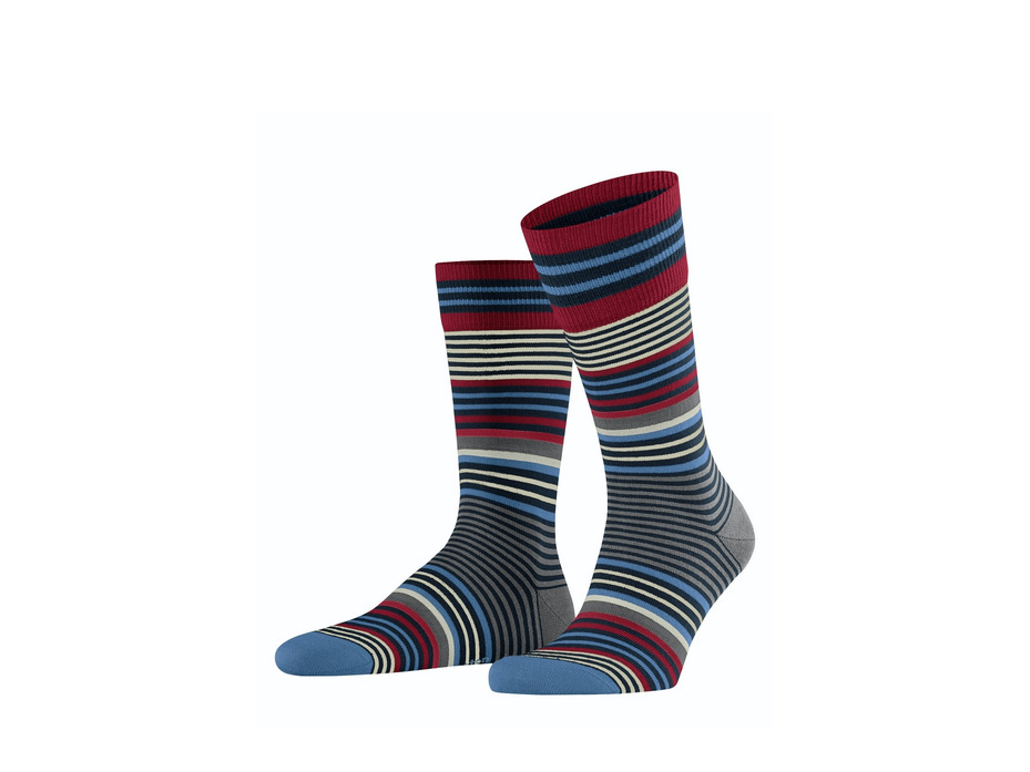 Носки мужские 21057 Stripe SO / Burlington