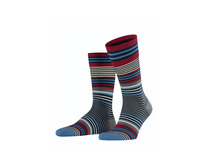 Носки мужские 21057 Stripe SO / Burlington