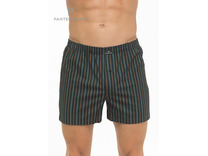 Трусы мужские PMBB-344 / Pantelemone