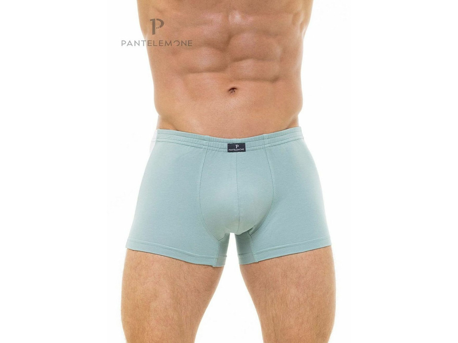 Трусы мужские PMH-1187 / Pantelemone