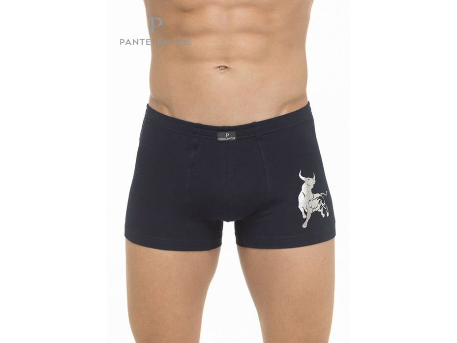 Трусы мужские PMH-044 / Pantelemone