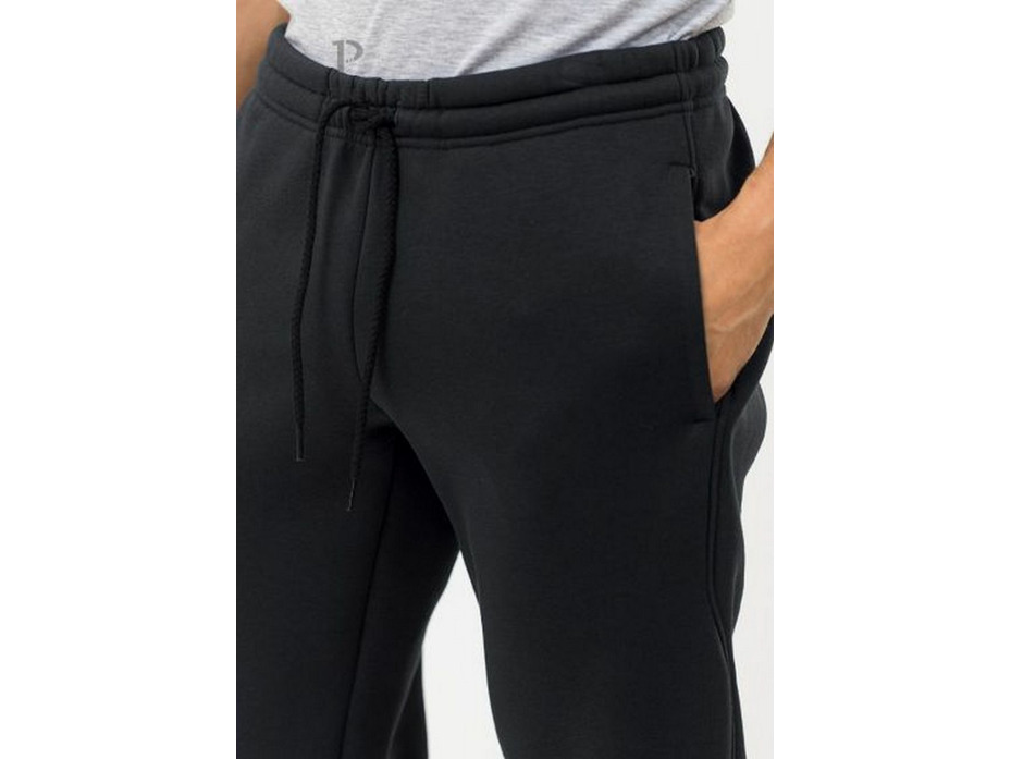 Брюки мужские PDB-231 / Pantelemone