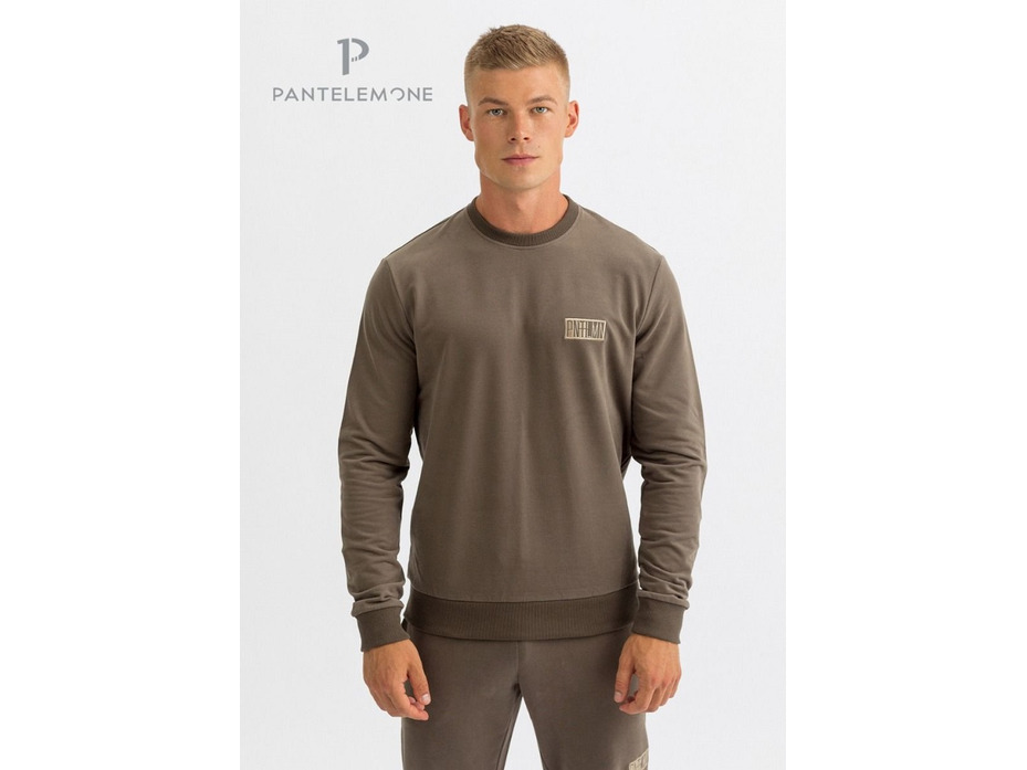 Толстовка мужская MT-156 / Pantelemone