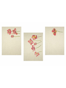 Набор полотенец 22С145-ШР Фрэнсис хлопковые (45-60, 3 шт) / Белорусский лен