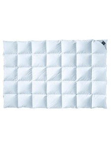 Одеяло Colina Mono гусиный пух 200*220 / Billerbeck Одеяло Colina Mono гусиный пух 200*220 / Billerbeck