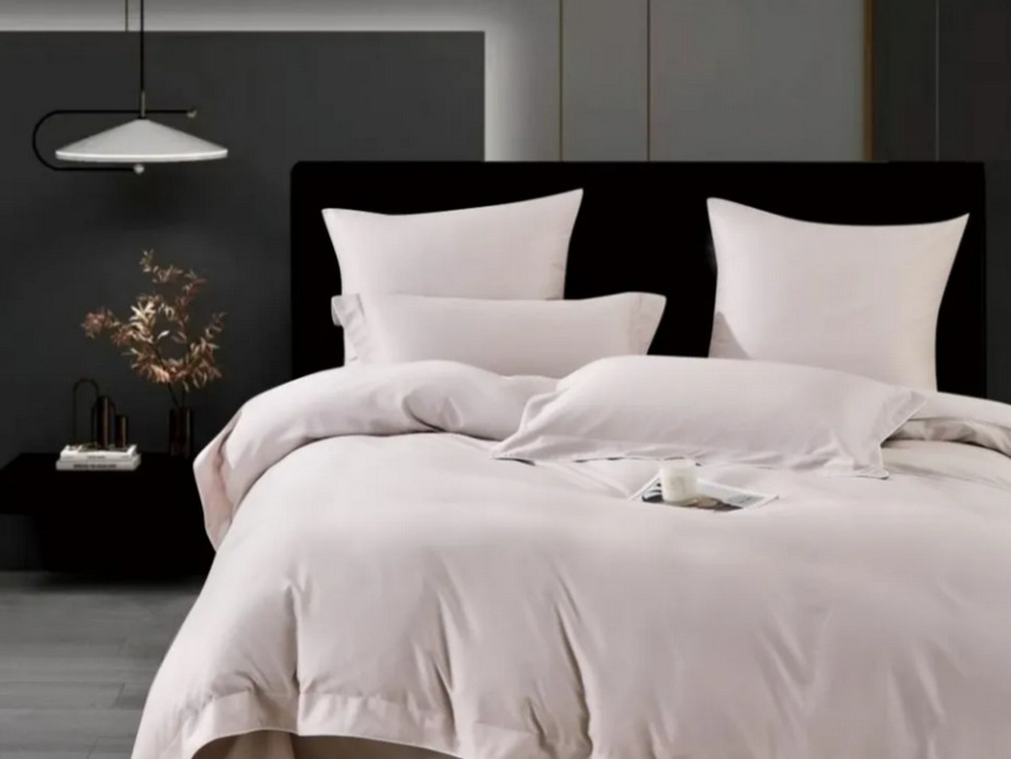 Постельное белье 2246-6 Светло-розовый фланель Евро сп / Asabella