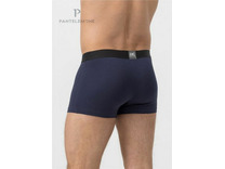 Трусы мужские PMH-1459 / Pantelemone