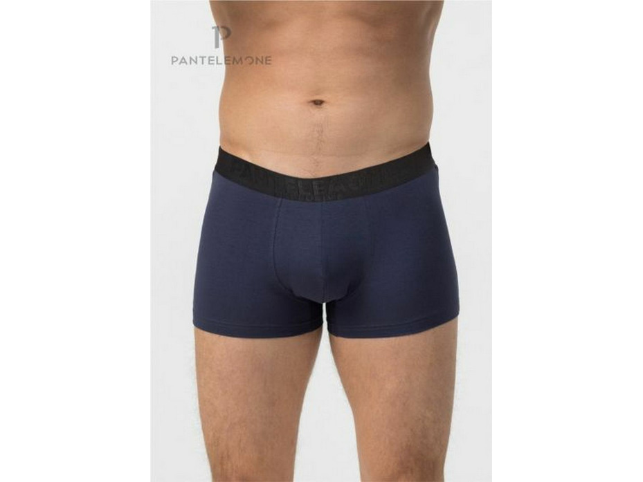Трусы мужские PMH-1459 / Pantelemone