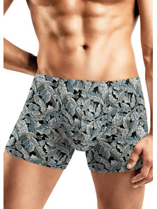 Трусы мужские MSH530711 / Clever