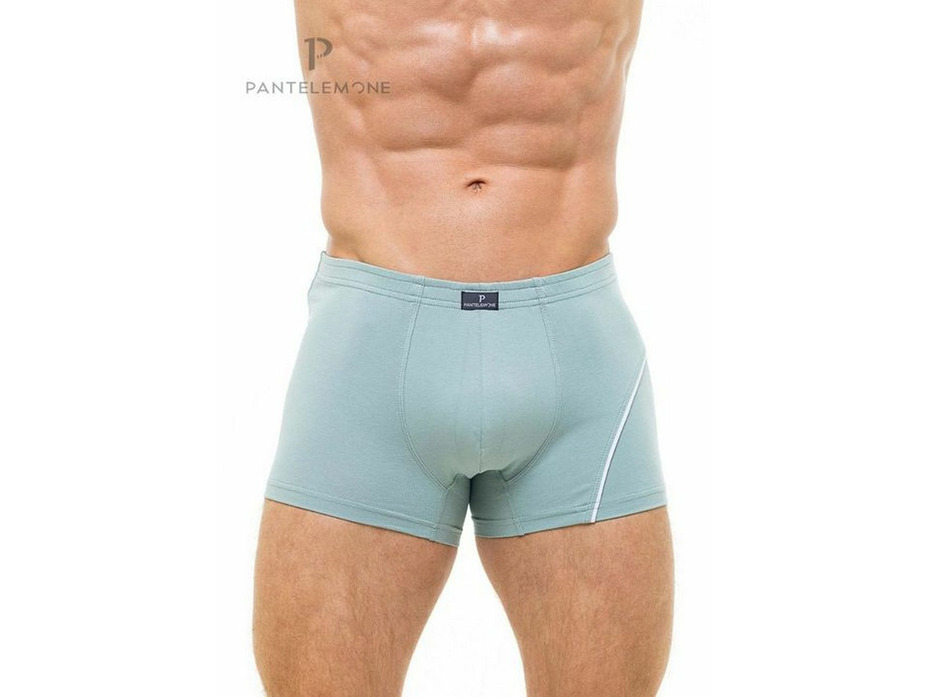 Трусы мужские PMH-1188 / Pantelemone
