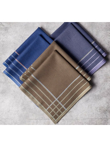 Набор носовых платков 45430L-7455 хлопковые (40*40, 6 шт) / Ettegy