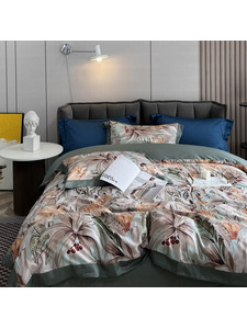 Постельное белье 1949-6 сатин пермиум Евро сп / Asabella