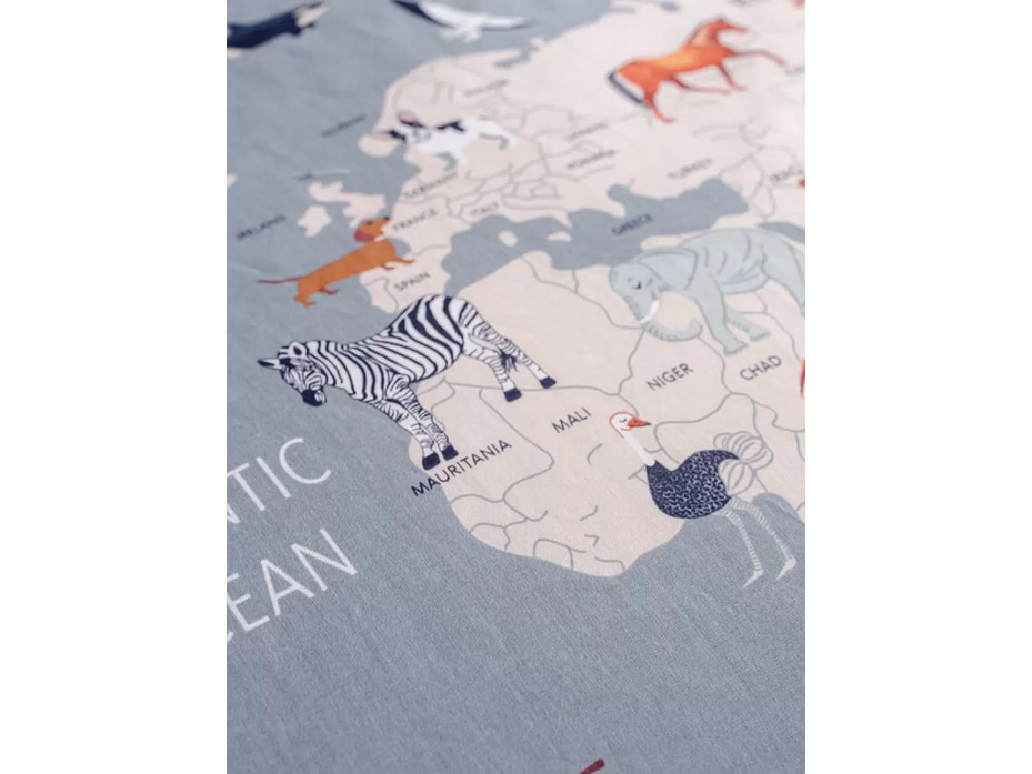 Постельное белье с простыней на резинке 10223 (24) География поплин 1,5 сп / Василиса